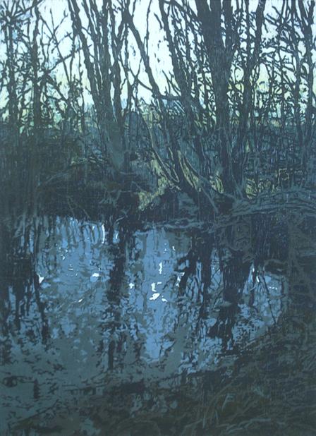 24 Wintervijver 30x42cm.jpg